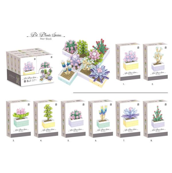 Do-It-Yourself Succulent Plant Building Blocks