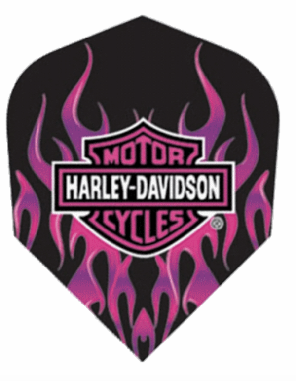 Harley Davidson Flights ~ Harley Davidson with Pink Flames