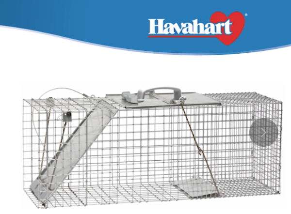 Havahart 1-Door Easy Set Large Animal Trap ~ 32″ x 10″ x 12″