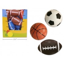 Balls & Sports Equipment