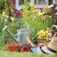 Lawn & Gardening Products