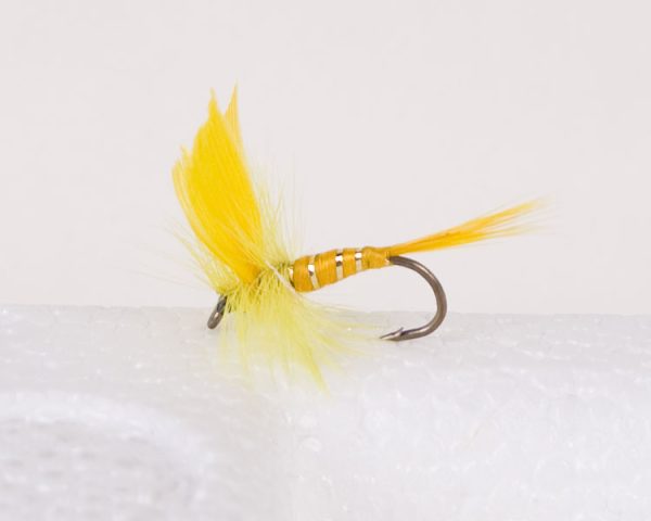 Yellow Sally Trout Dry