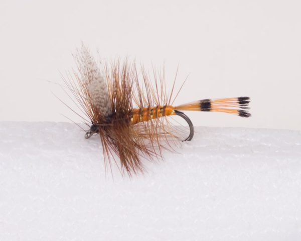 Queen of Waters Trout Dry