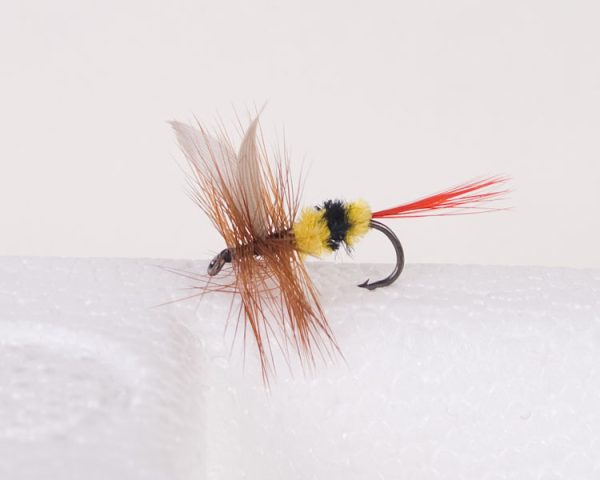 Bee {The McGinty} Trout Dry