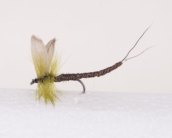 Olive Quill – Extended Body Trout Dry Fly
