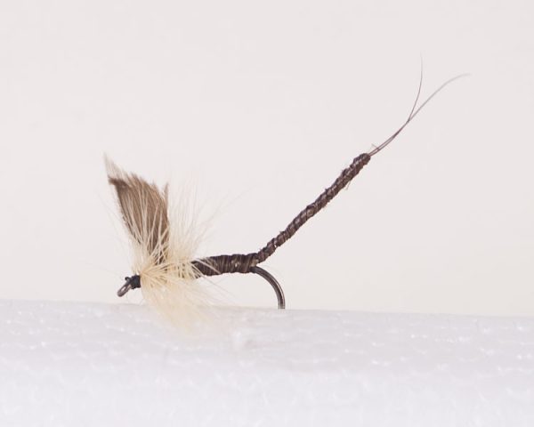Ginger Quill – Extended Body Trout Dry Fly