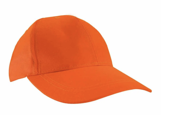 Fluorescent Orange Ball Cap