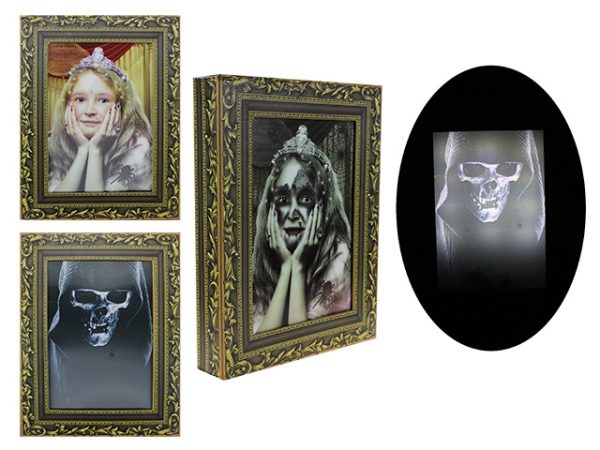 Halloween LED Sound Activated Lenticular Portrait ~ Battery Operated