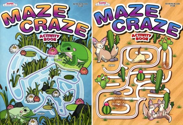Maze Craze Kid’s Activity Book