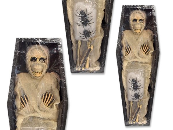 Halloween Polyfoam Mummy in Coffin Kit ~ 13 pieces