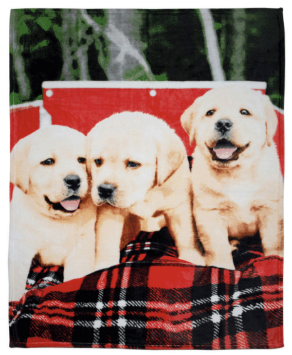 Puppies Printed Micro Mink Throw ~ 48″ x 60″
