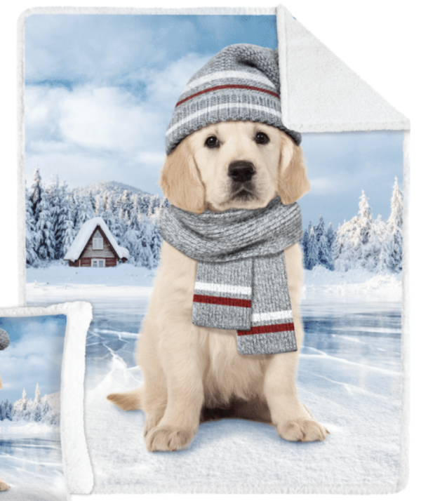 Winter Puppy Photorealisic Printed Throw with Sherpa Reverse ~ 48″ x 60″