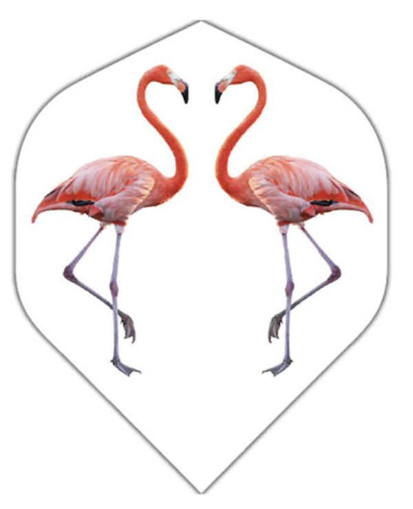 BD Flight ~ Flamingos
