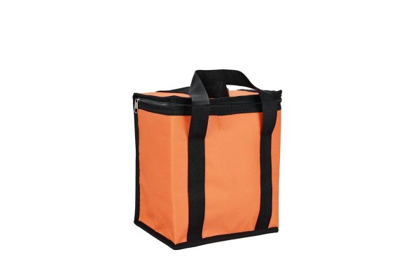 Therma Max Insulated Cooler Tote Bag with Handle – Orange ~ 6L / 12 cans