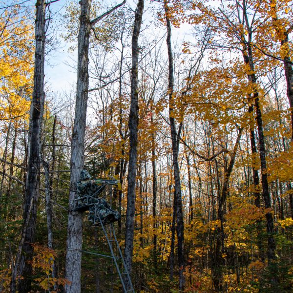 Deep Wood Camo Tree Stand Jacket