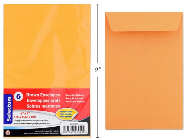 Selectum Brown Peel-N-Seal Envelopes – 6″ x 9″ ~ 6 per pack