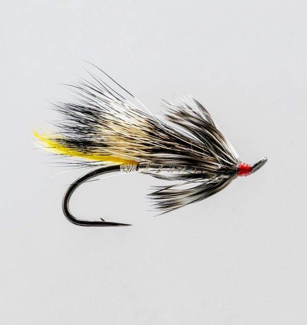 Silver Rat Salmon Wet