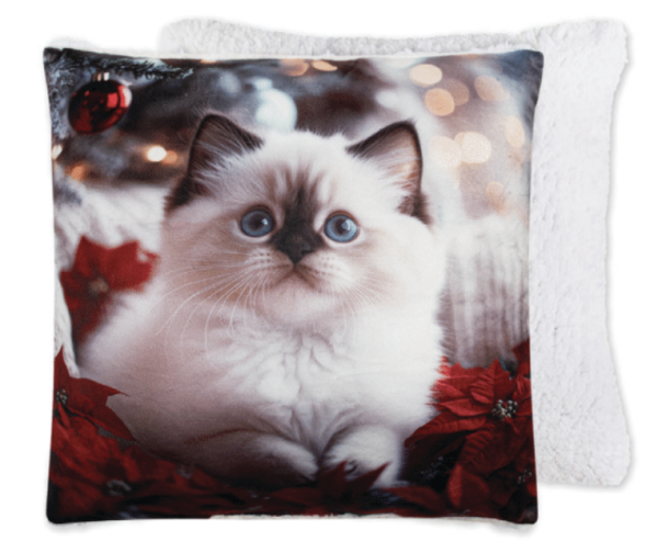 Christmas Photoreal Print Cushion with Sherpa Back – 17″ x 17″ ~ Comfy Cat
