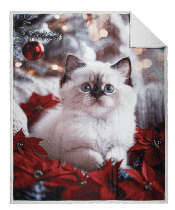 Christmas Photoreal Print Throw with Sherpa Back – 48″ x 60″ ~ Comfy Cat