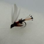 Ginger Quill Trout Wet