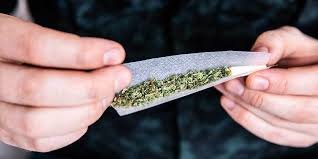 Rolling Papers & Accessories